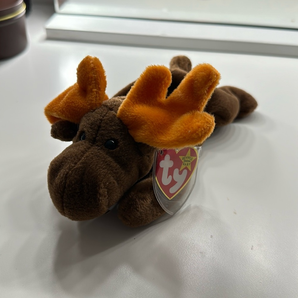 RARE Ty chocolate the moose beanie baby
